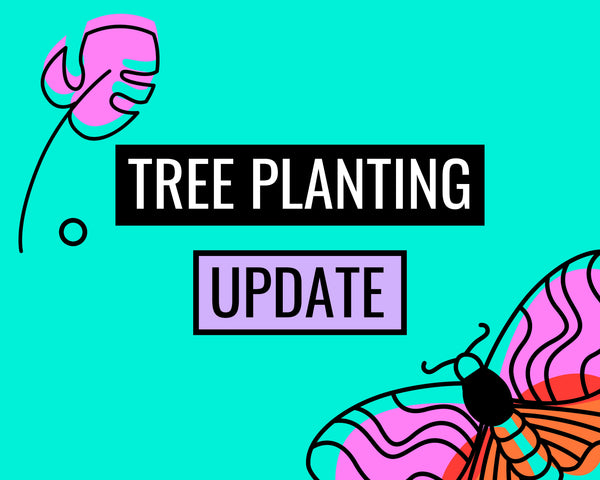 We've Decided to Stop Planting a Tree With Every Order