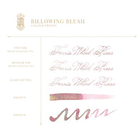 Fountain Pen Ink | FerriTales | The Beauty and the Beast - Billowing Blush