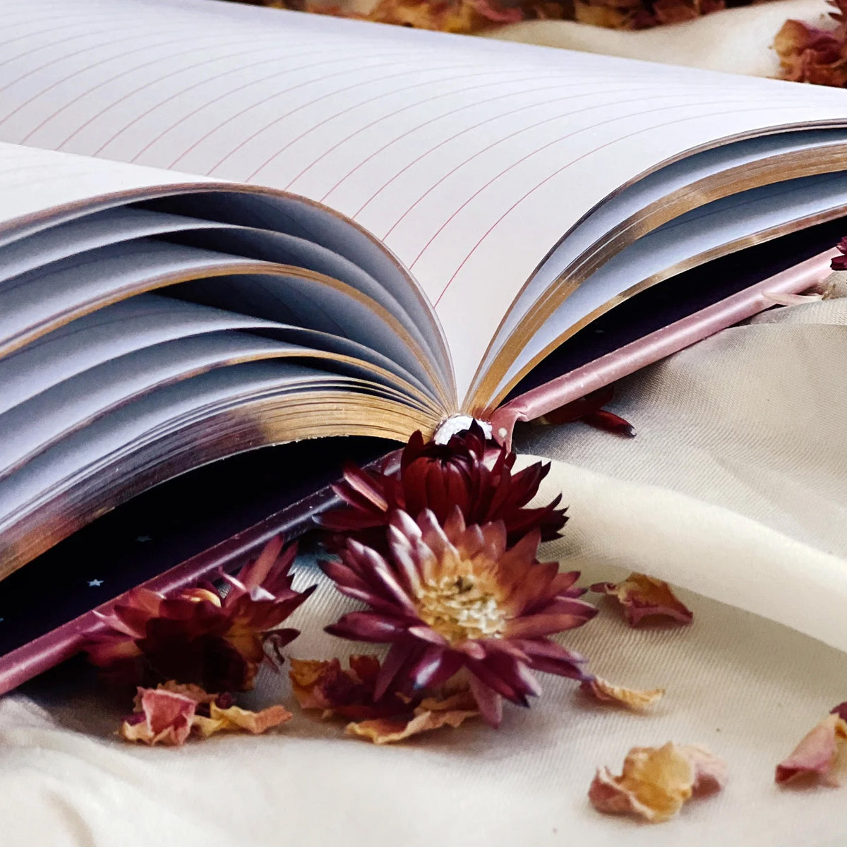 Le Soleil Journal