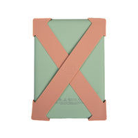 Strapsicle Kindle + Kobo straps