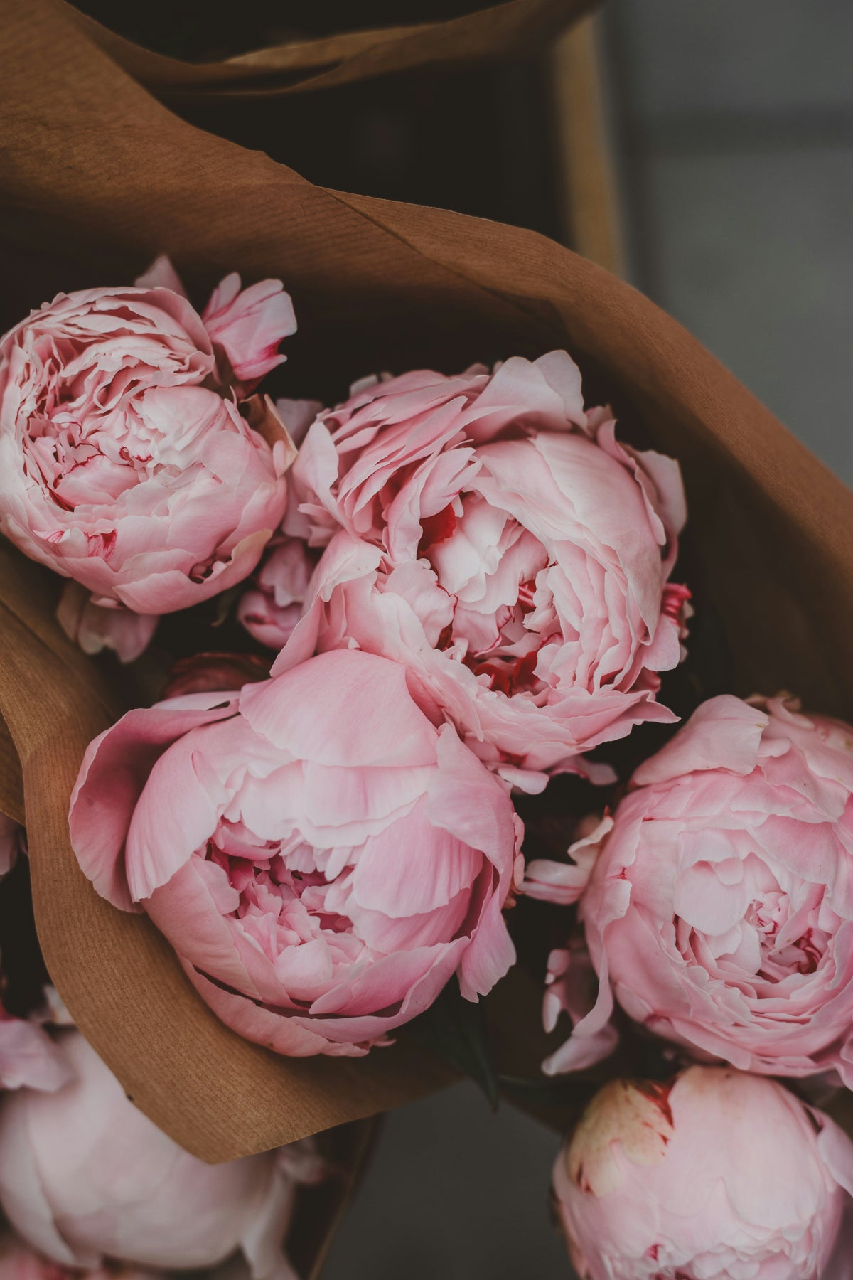 Peony scented pencils