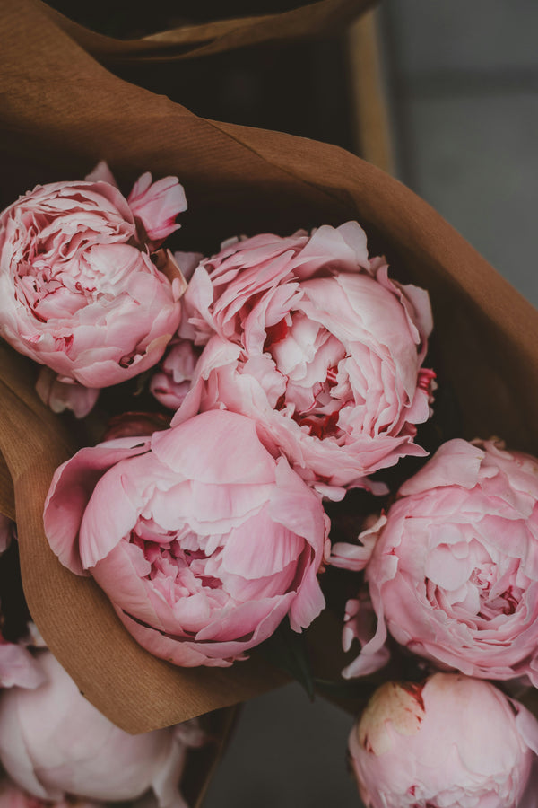Peony scented pencils